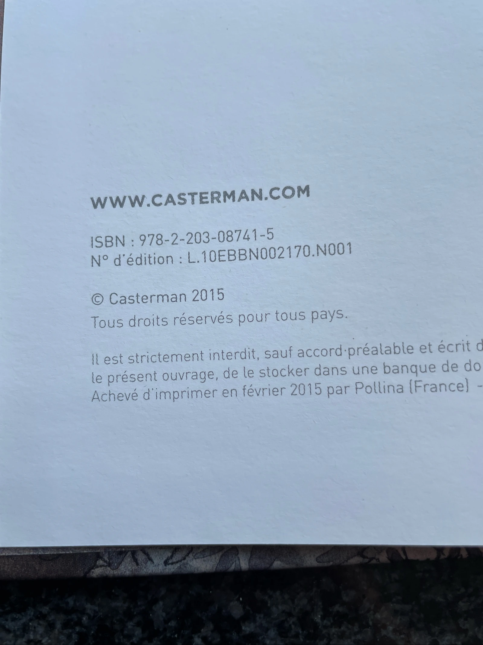 Bd the rest of the world / Jean-Christophe Chauzy / Casterman – photo 3